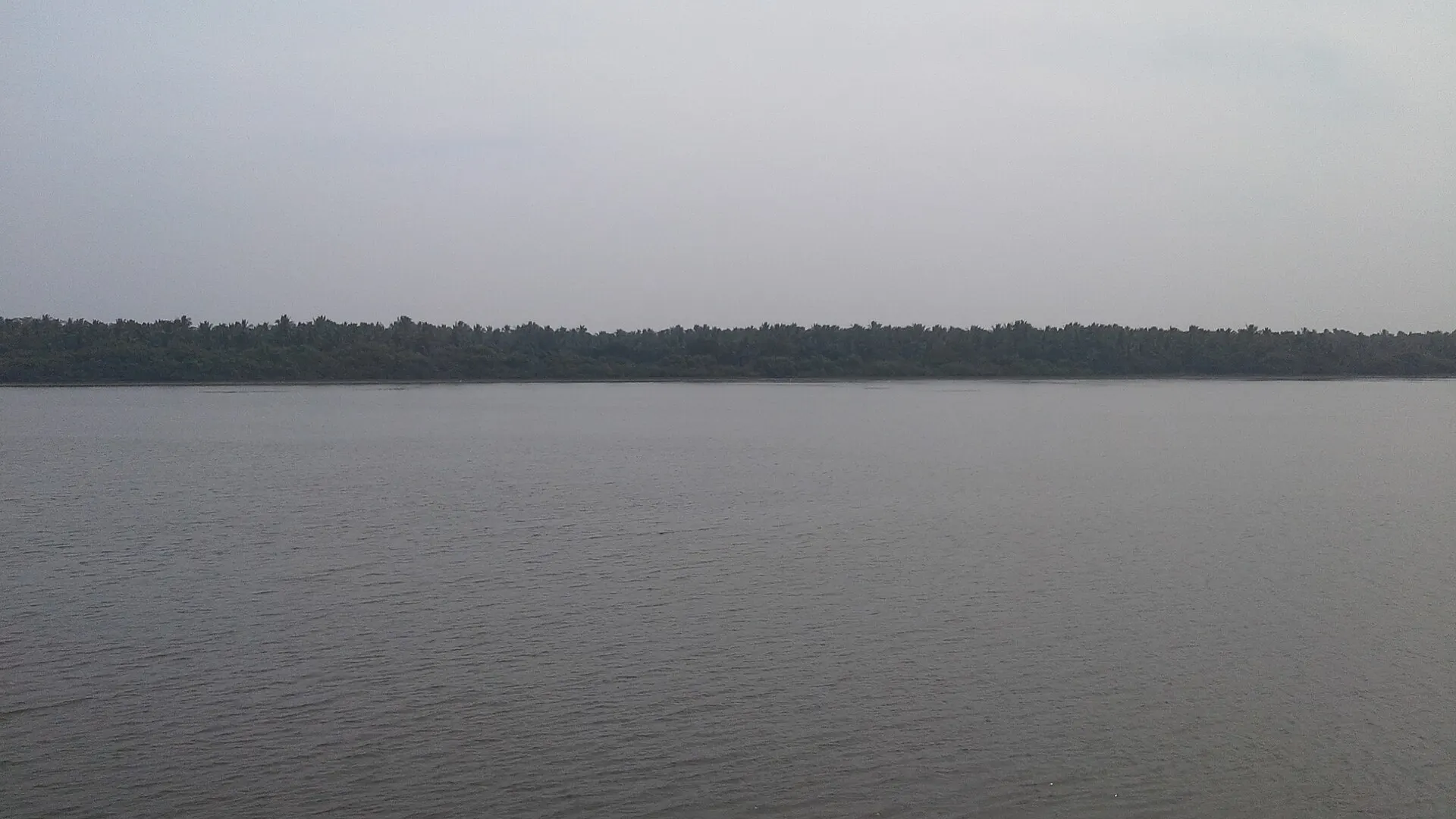 The wide Godavari river at Narsapur in Andhra Pradesh under an overcast sky, with a line of coconut palms along the far bank