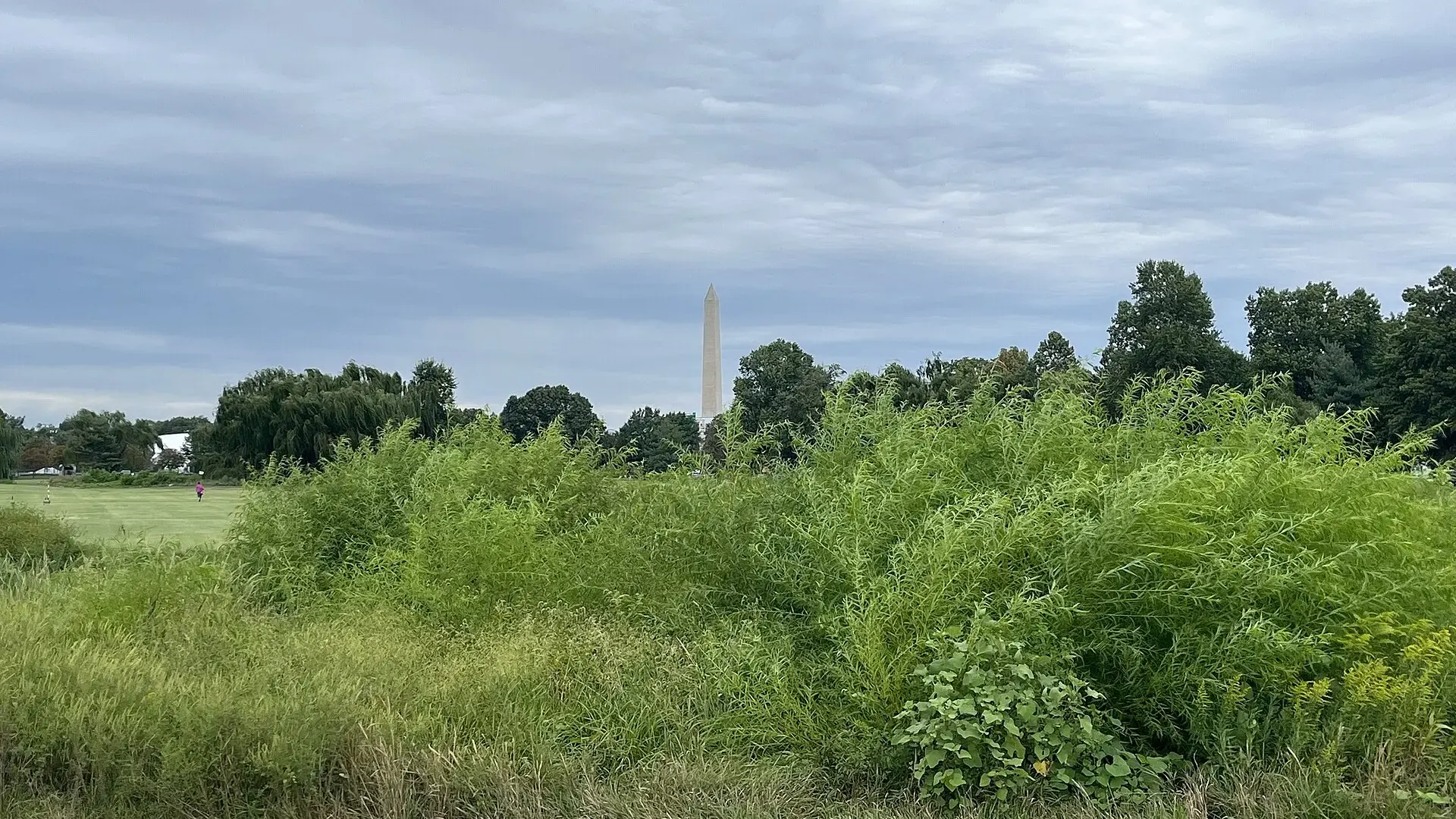 The Washington Monument rises beyond fairway grass and trees at East Potomac Golf Links in Washington, D.C., in September 2023